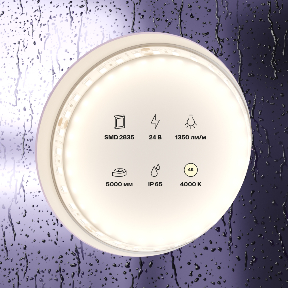 element_10152_w_standard_(2)