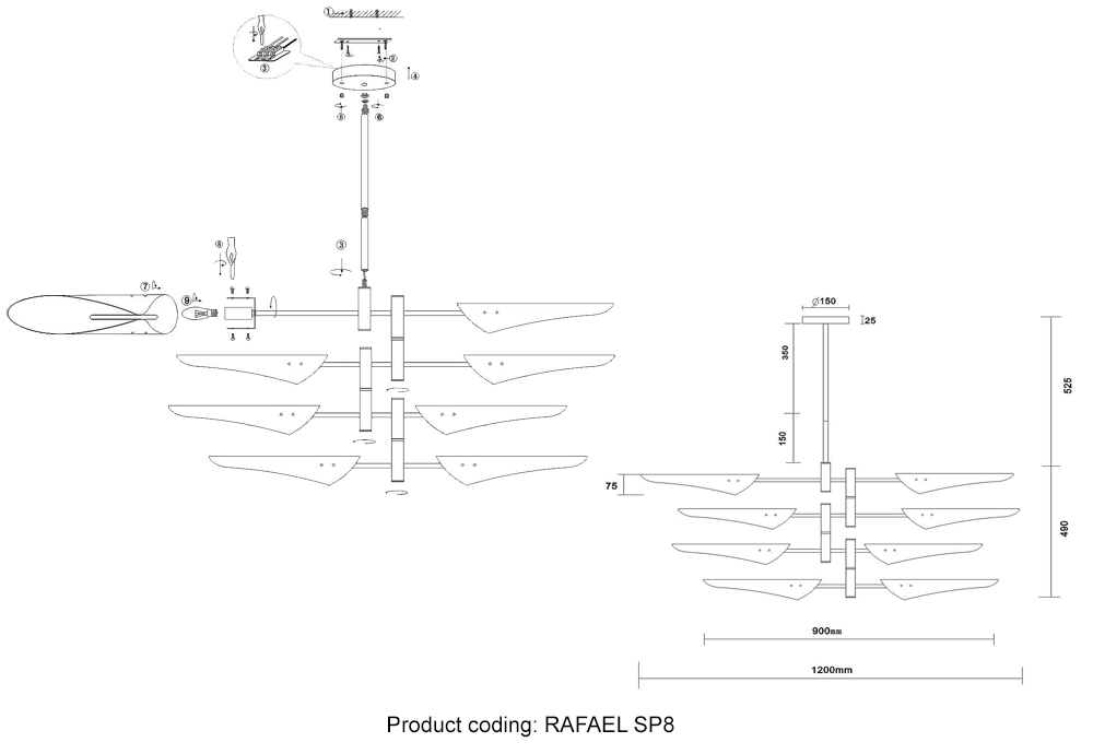 RAFAEL_SP8