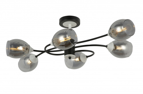 FR5227PL-06B_on_w_standard