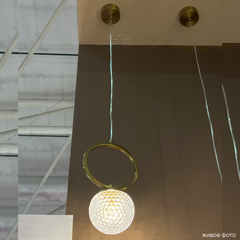 CAROLINA_SP1_V1_BRASS_livephoto CAROLINA_SP1_V1_BRASS_livephoto