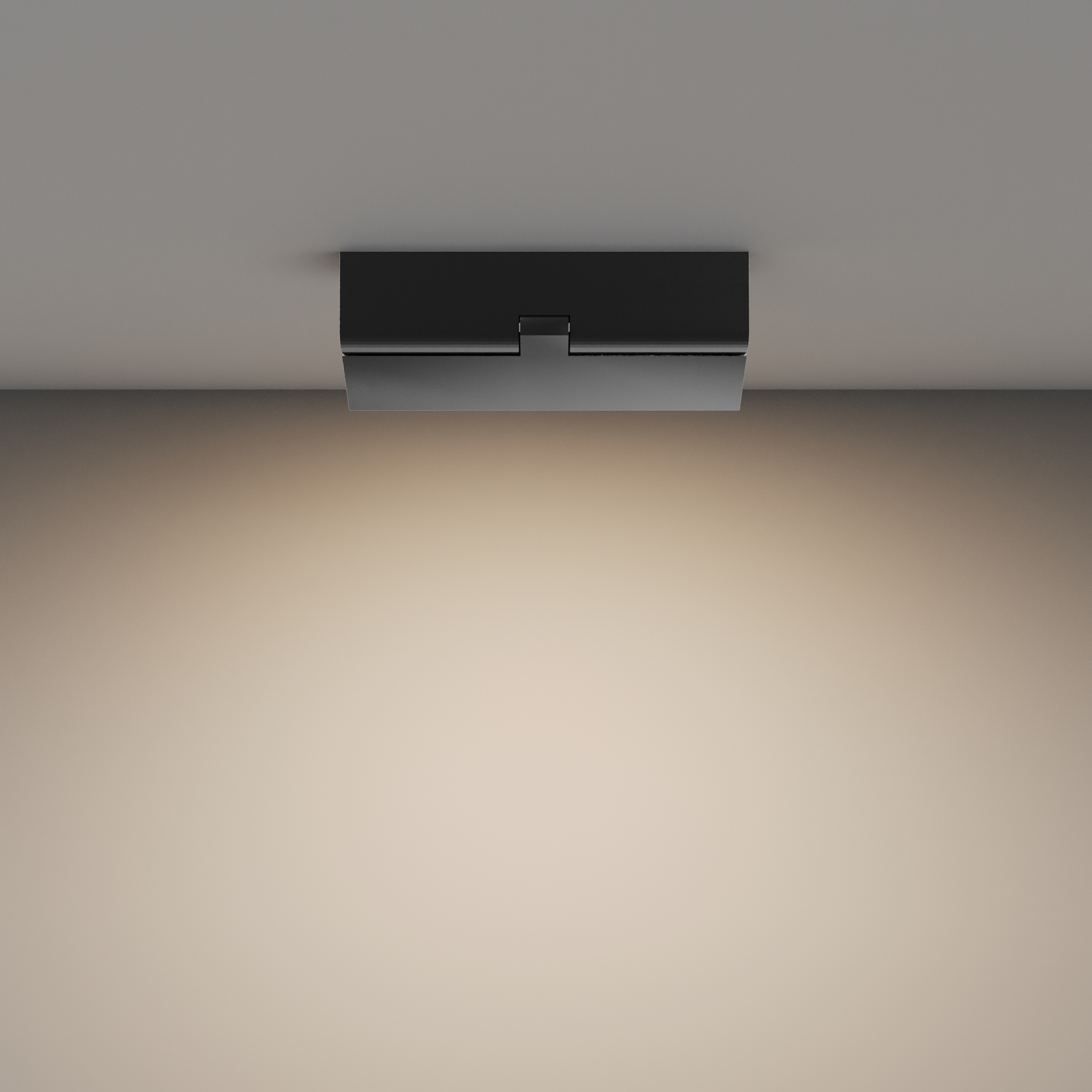 RENDER_Additional_perspective_C133CL-12W3K-B_standard