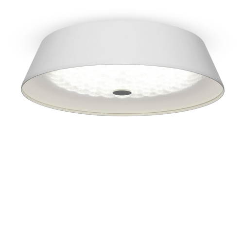 PHOTO_FR10013CL-L24W_on_w_standard