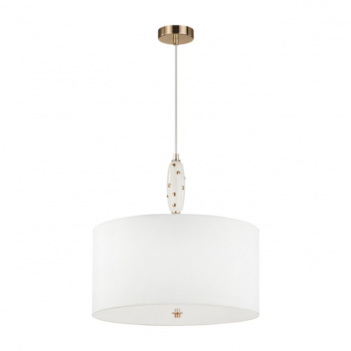 1ElHxqC31Yo5u9Wktcqi