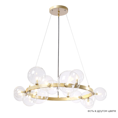 AGATA_SP15_V2_GOLD-TRANSPARENTE