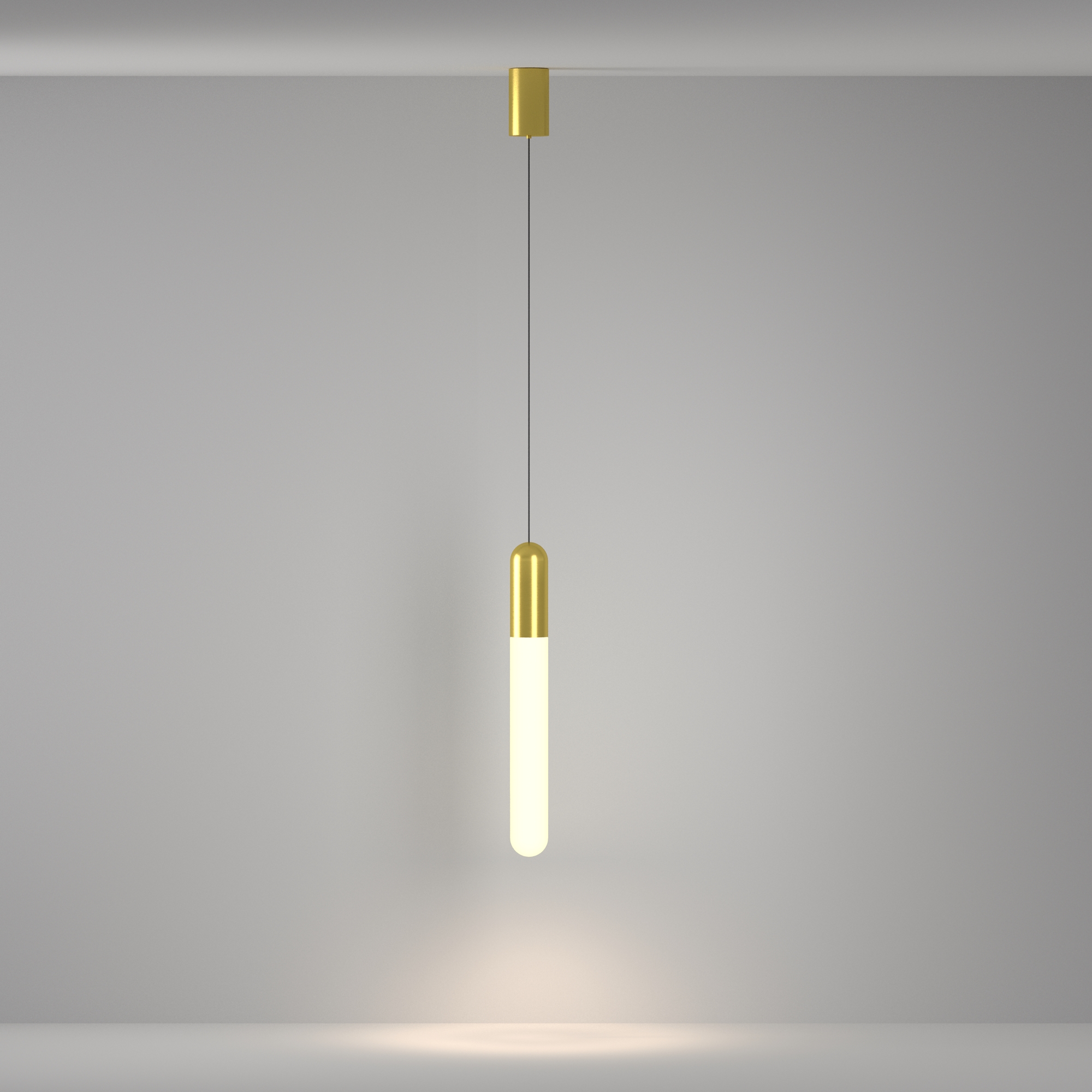 RENDER_Additional_perspective_P101PL-L500-12W3K-BS_standard