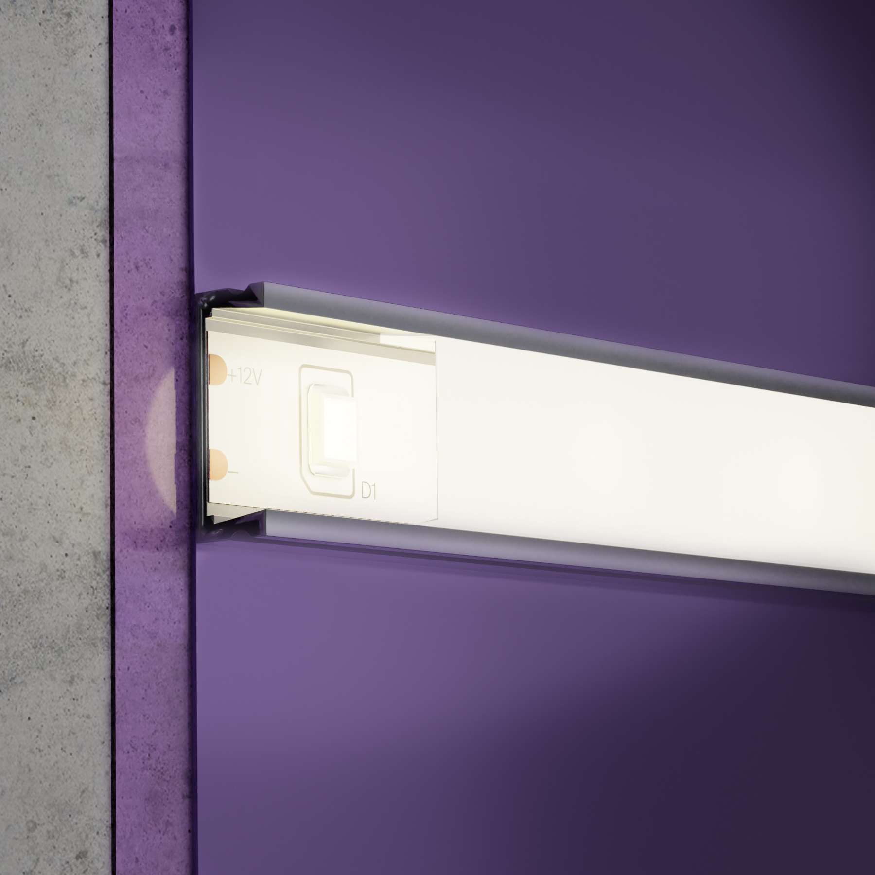 element_10102_w_standard_(1)