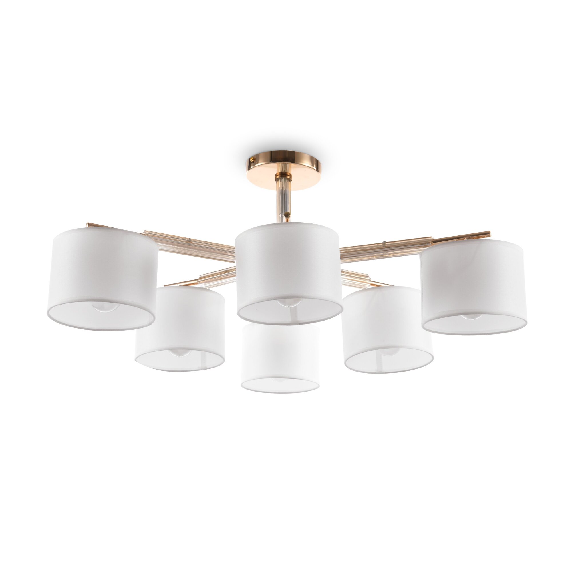 PHOTO_FR5386CL-06G_on_w_standard_(2)