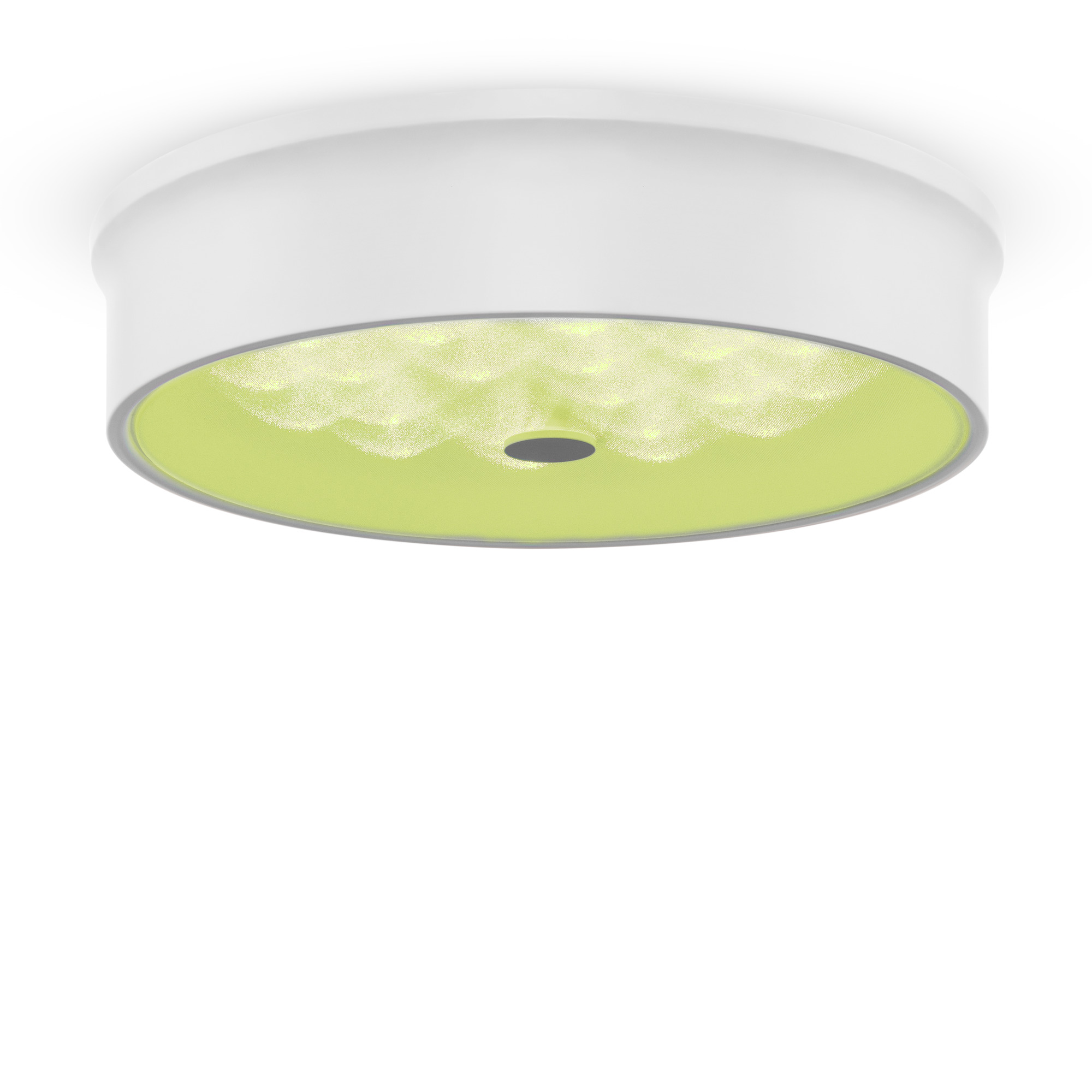 FR10011CL-L24W_on_w_(1)