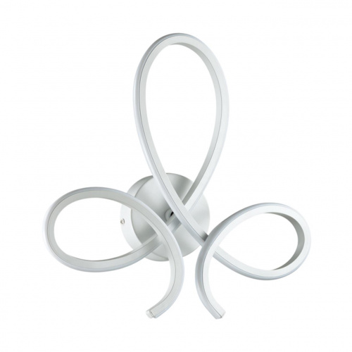 80b53862bce26055a8f84da664009e16