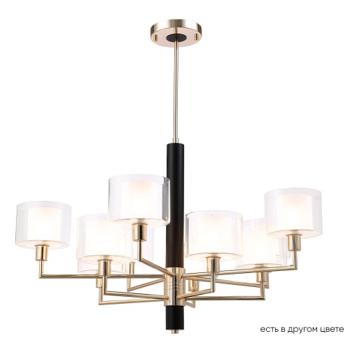 MAESTRO_SP-PL5%2B5_GOLD