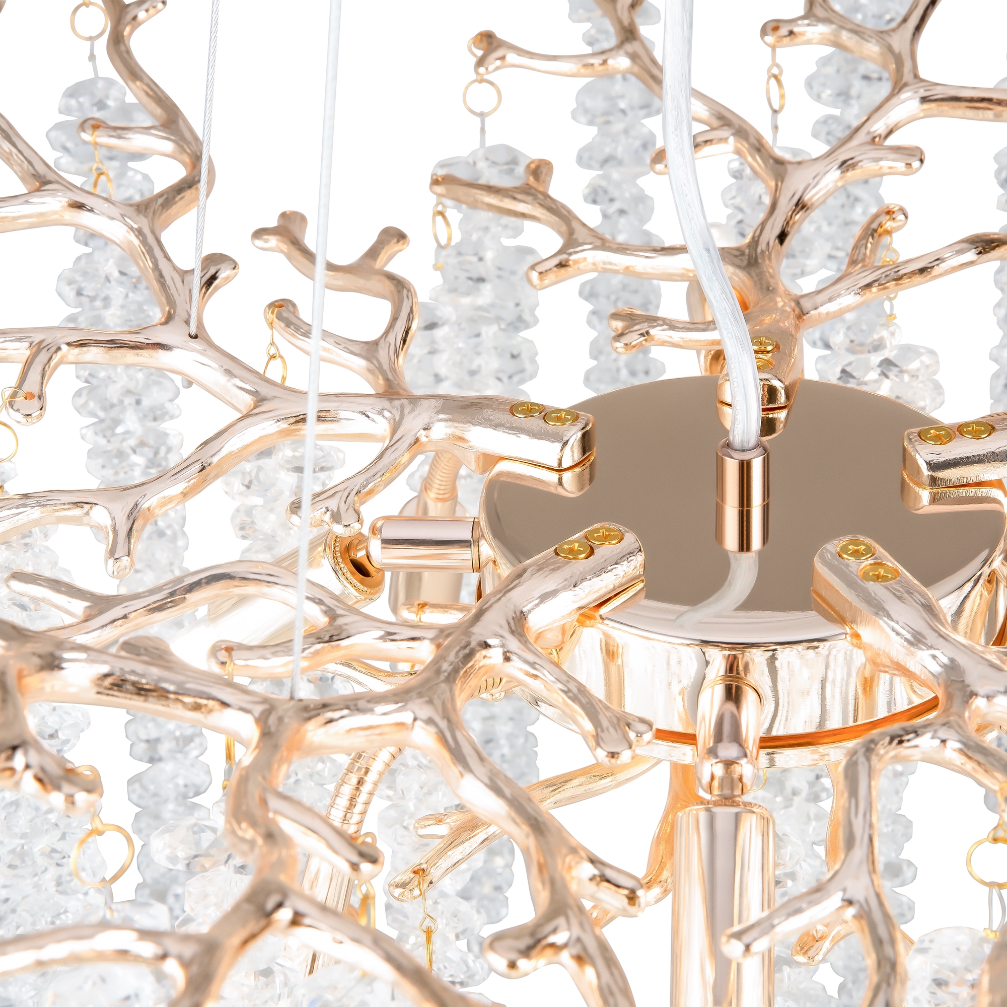 PHOTO_element_FR1010PL-08G_w_standard