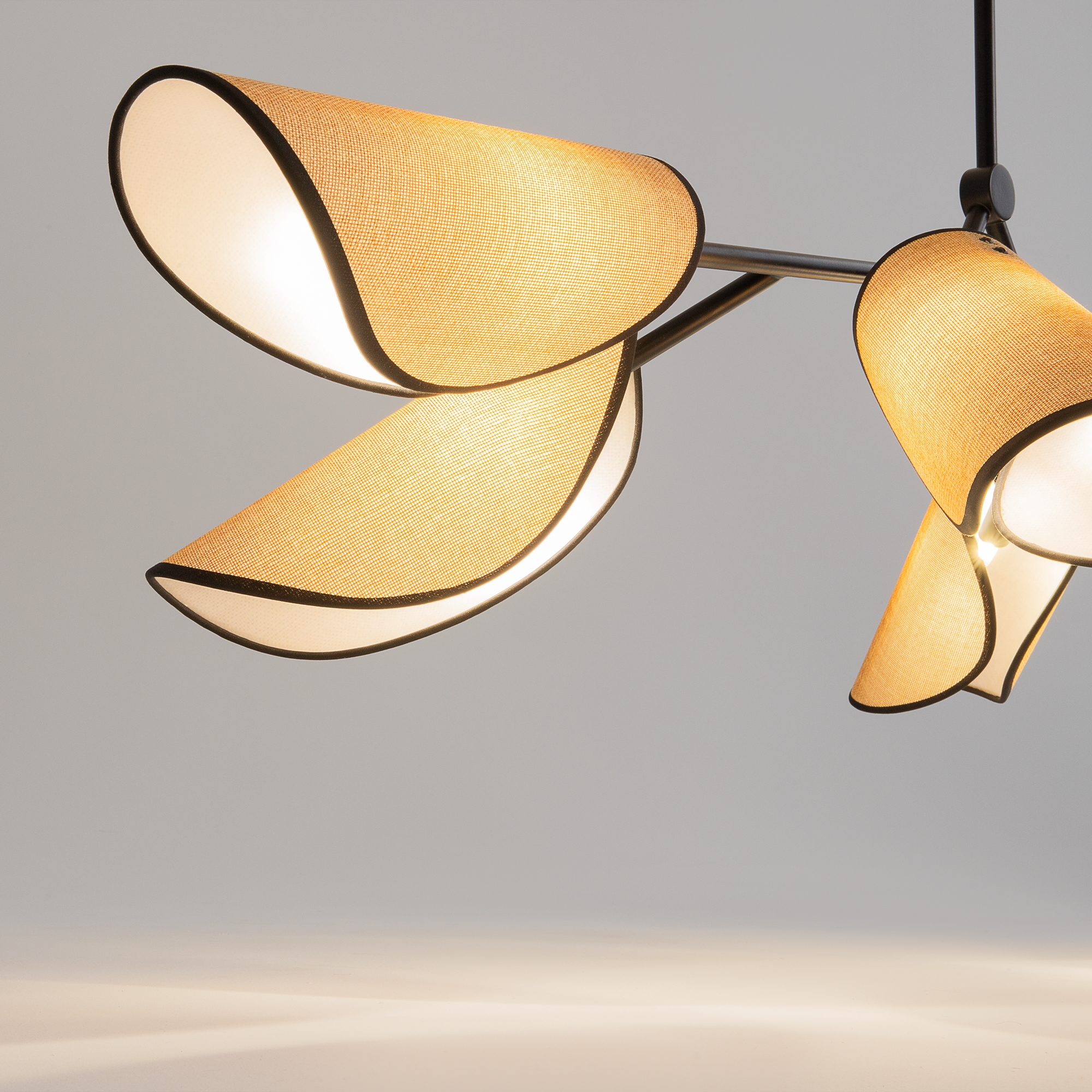 PHOTO_element_MOD225PL-06B_w_standard