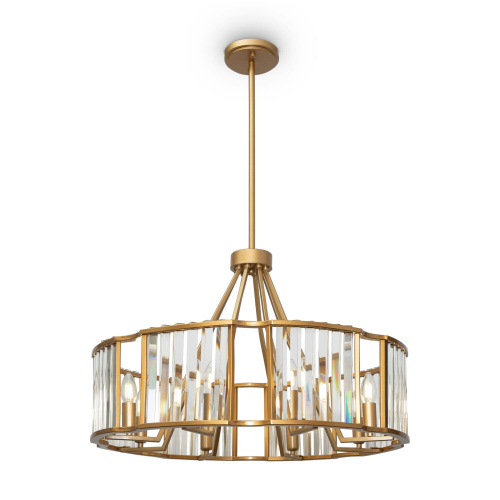 MOD087PL-08G_on_w_(1)