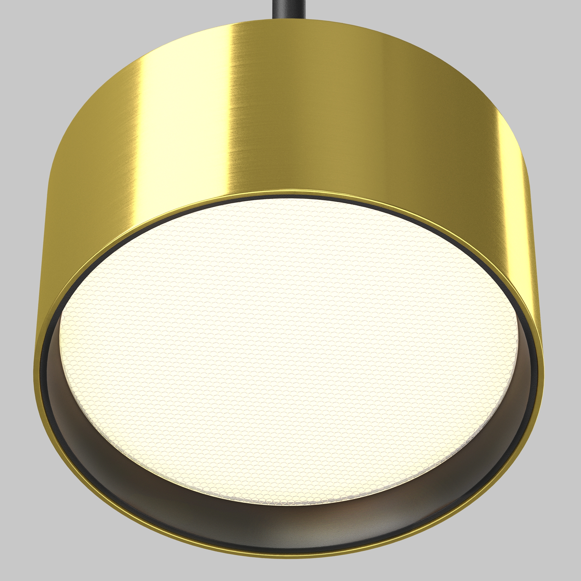 RENDER_element_P102PL-12W3K-BS_w_standard