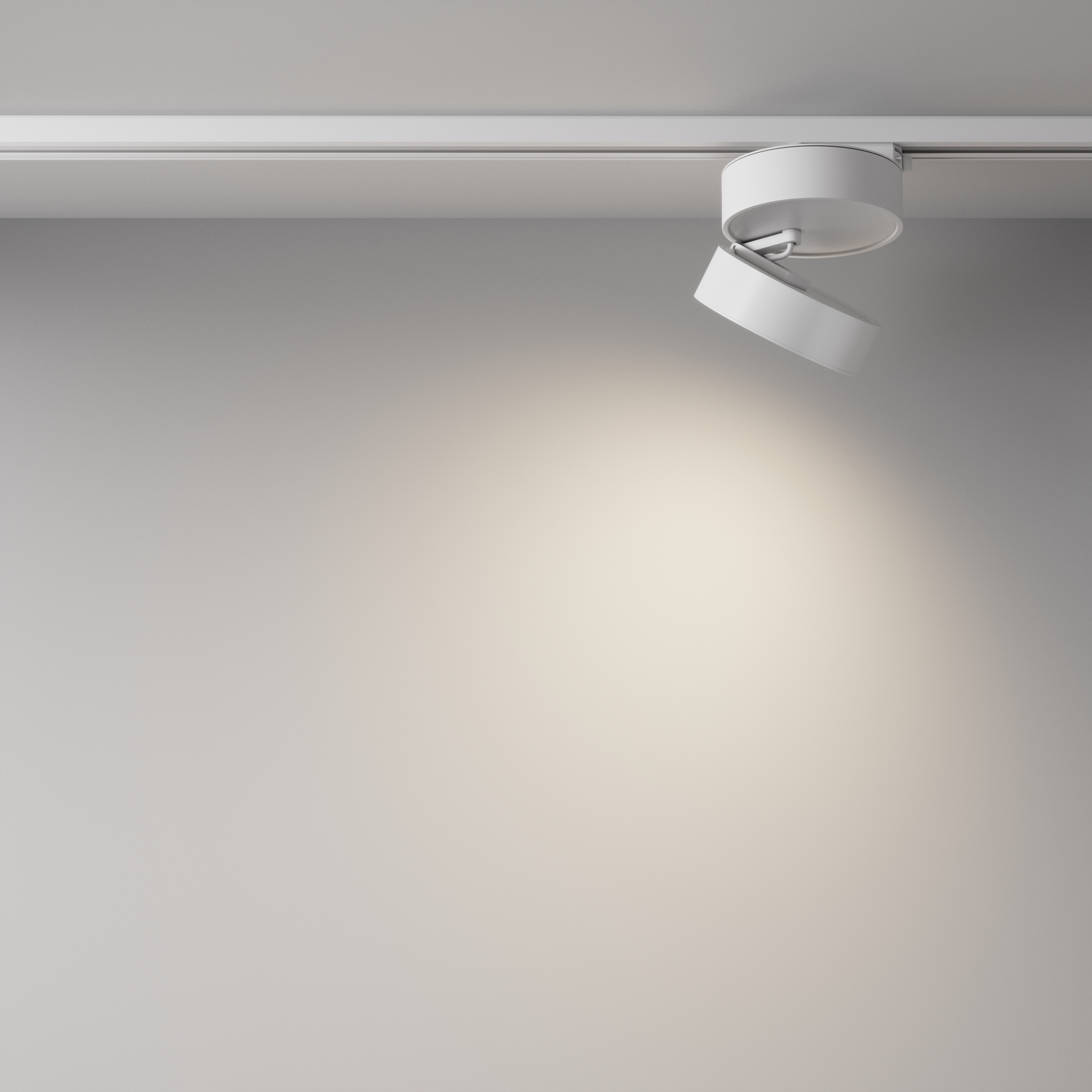 RENDER_Additional_perspective_TR007-1-18W4K-W-1_standard