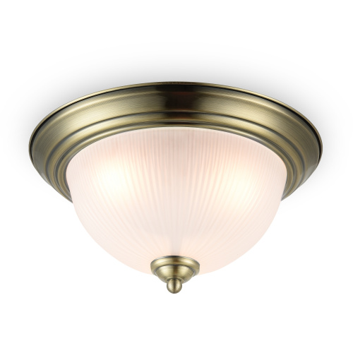 PHOTO_FR2913-CL-03-BZ_on_w_standard