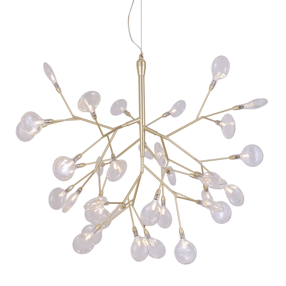 EVITA_SP36_GOLD_TRANSPARENT_2