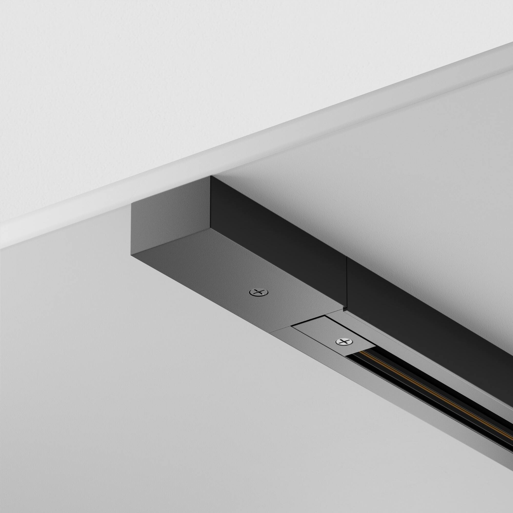 RENDER_element_TRX001-113B_w_standard
