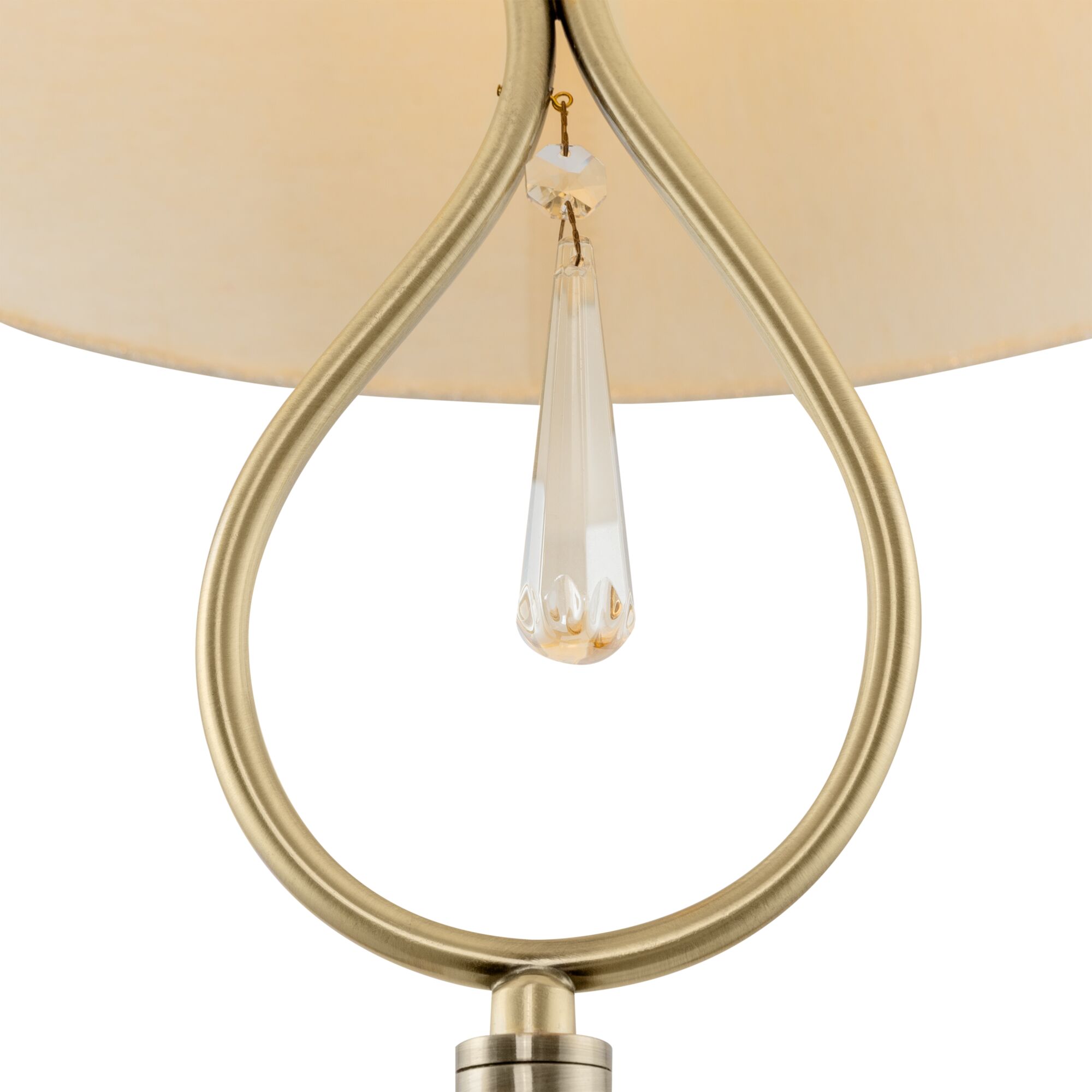 element_FR2019FL-01BS_w_(1)