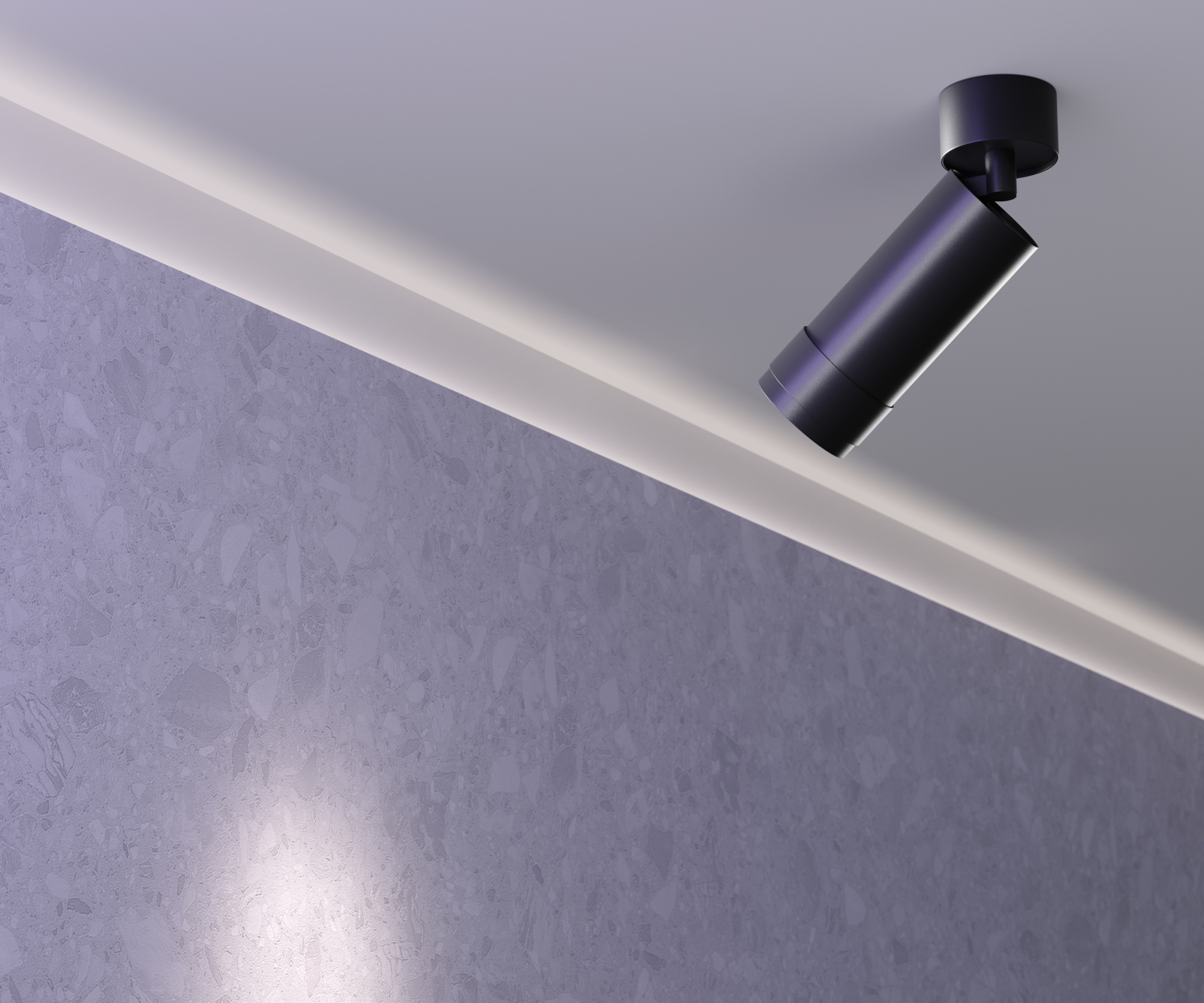 Interio_ for_the_site_C055CL-L12W3K-Z-B_standard