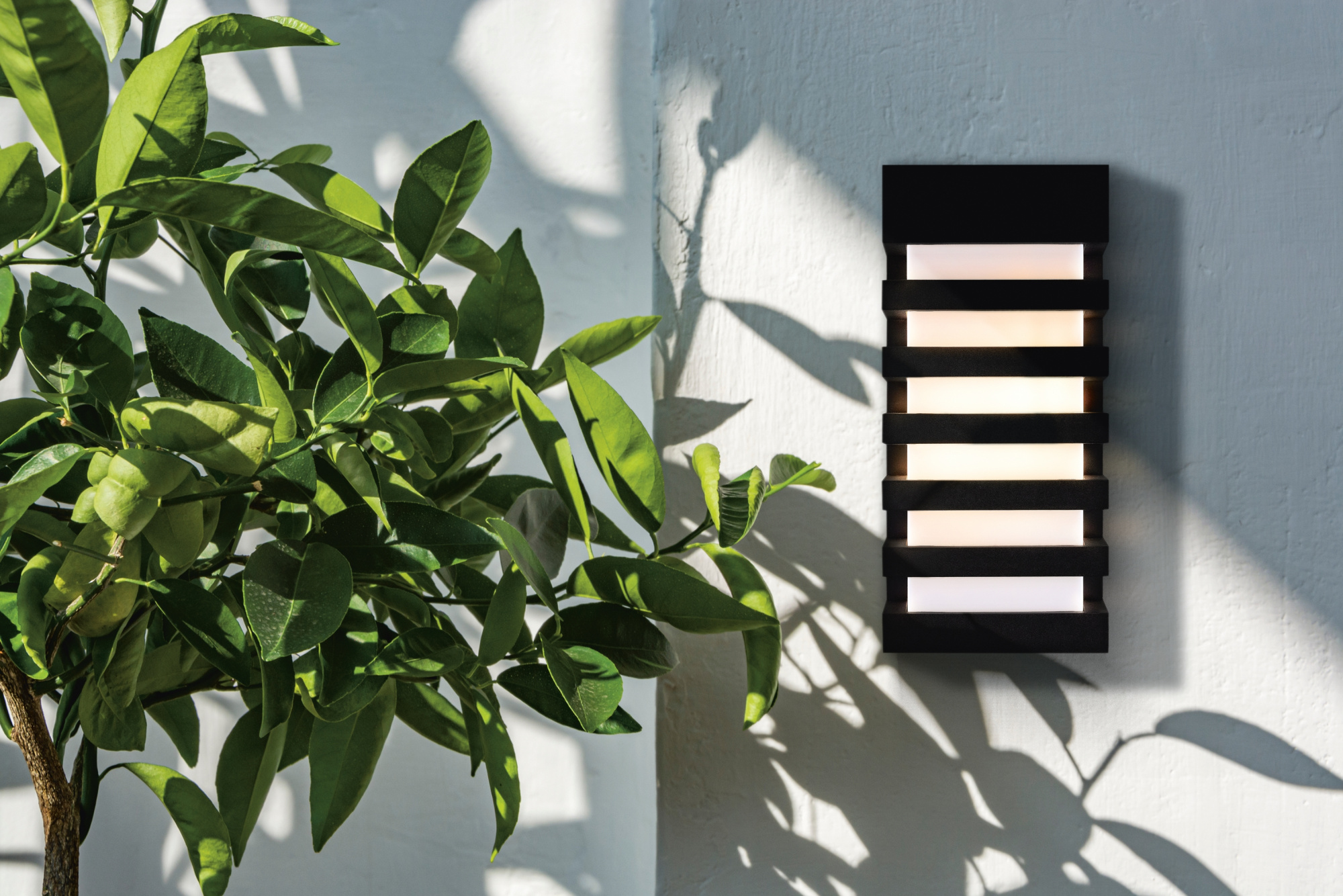 Interio_ for_the_site_O034WL-02B_standard